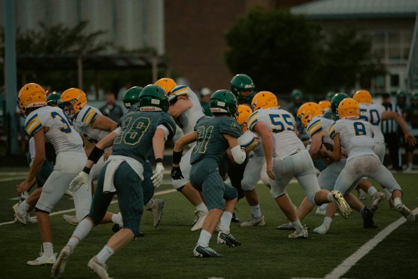 Quali sono le attività di arricchimento ambientale più stimolanti per un gatto di razza Oriental Shorthair?